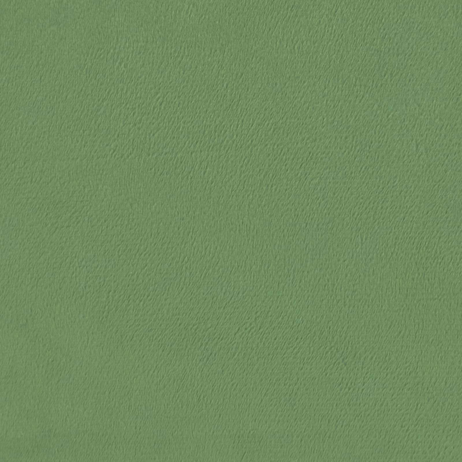 Zimska pokrivača Šonerisan Zelena 200 x 240 cm Mikrovlakna