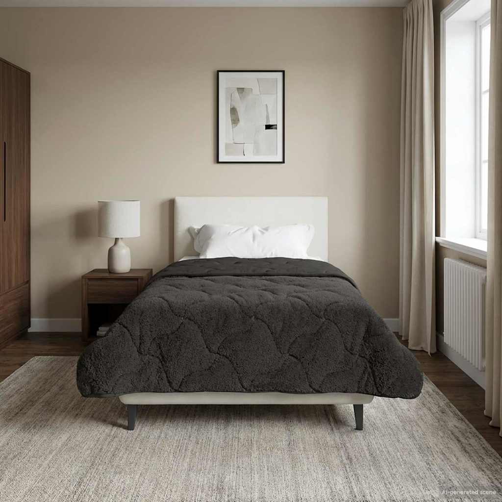 Ljetni pokrivač Antracit 155 x 220 cm Mikrofibra i teddy flis