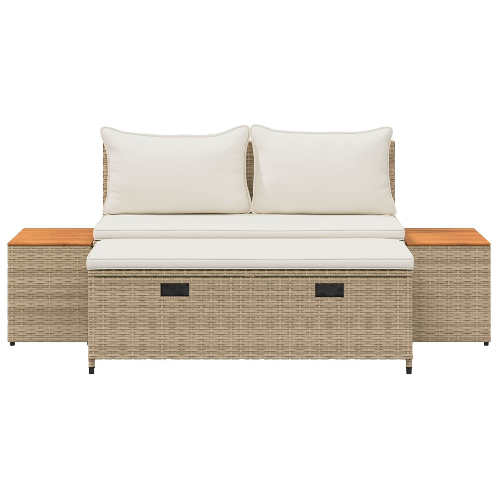 Set vanjskih sofa 4-Broj sjedala 4 pcs 55 x 30 x 39 cm