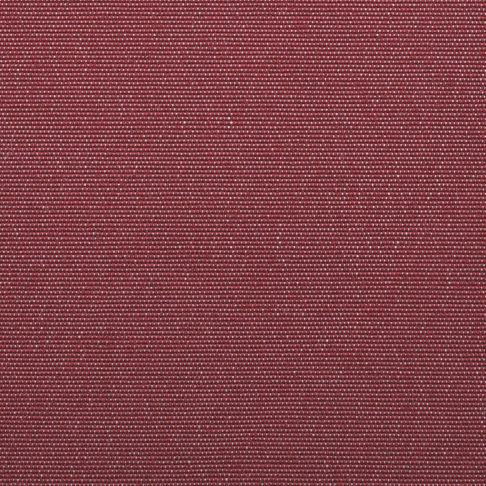 Električna retraktabilna tenda Bordo i Bijela 3 x 2,5 m