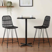 Barska stolica 2 pcs Crna 44 x 54 x 96 cm Ratan i Čelik