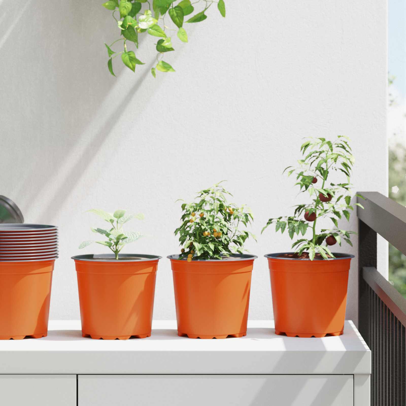 Lonac za cvijeće 50 pcs Terakota Ø 15 x 13 cm Plastika