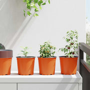 Lonac za cvijeće 50 pcs Terakota Ø 15 x 13 cm Plastika
