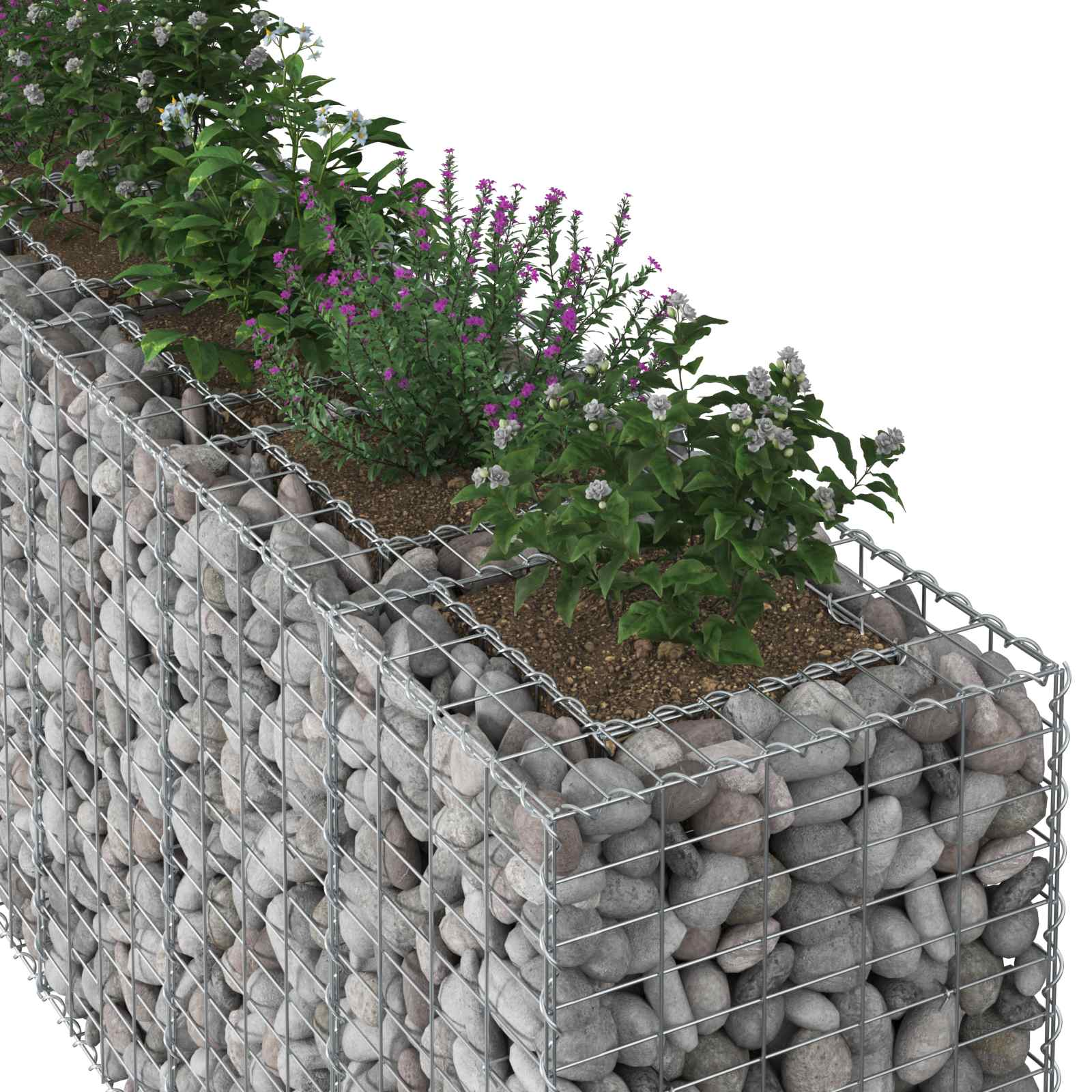 Gabionski uzdignuti krevet 2 pcs Srebrno 250 x 50 x 80 cm