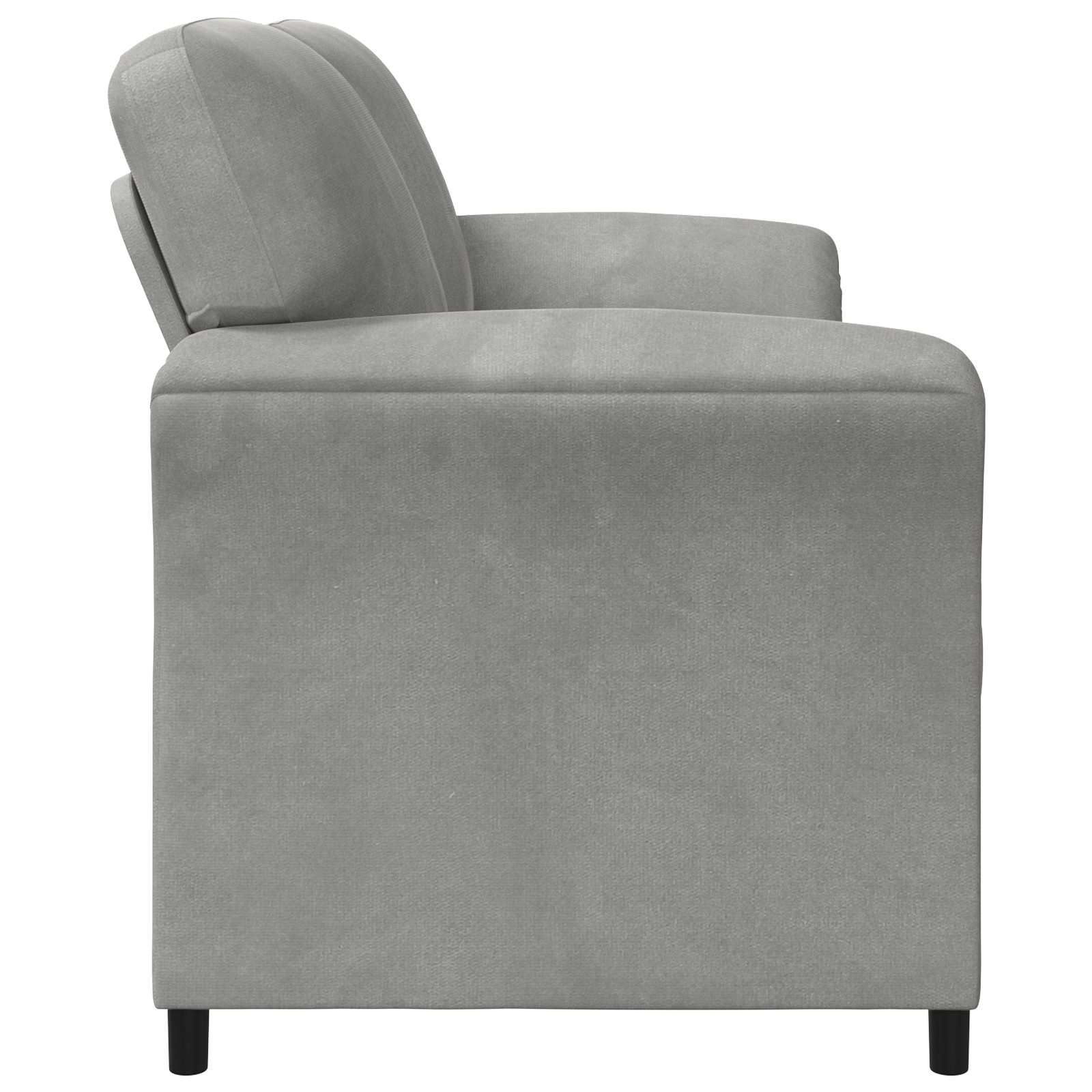 Sofa za dvije osobe Svjetlosiva 158 x 83 x 95 cm Baršun