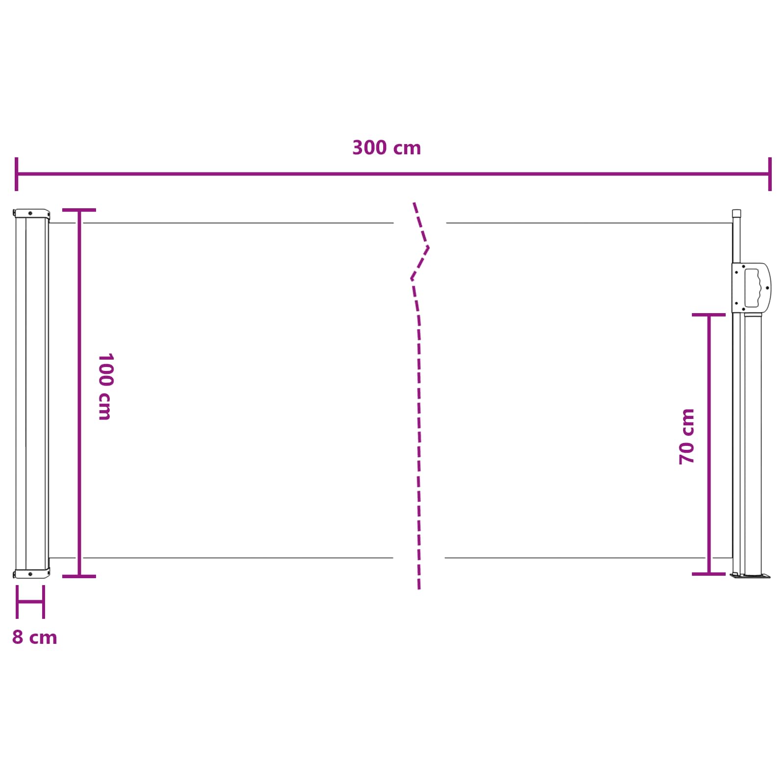 Retraktabilna bočna tende 300 x 100 cm Poliester Pravokutni