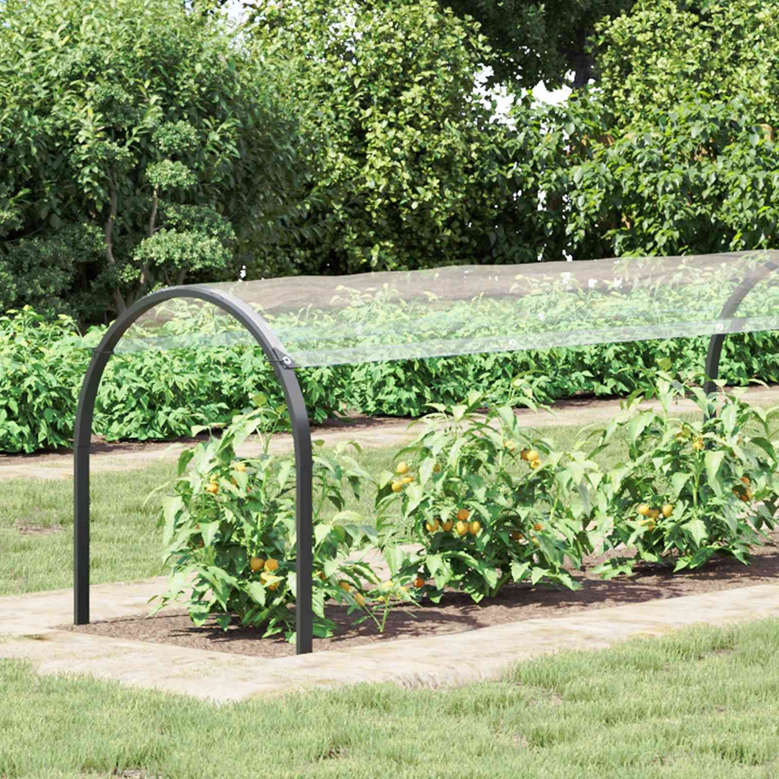 Pokrov za biljke *Transparent*an 10 x 1,5 m PVC