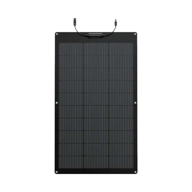 EcoFlow 2 x 100W Solar Panel (Flexible)