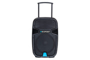 Blaupunkt profesionalni audio sistem PA12