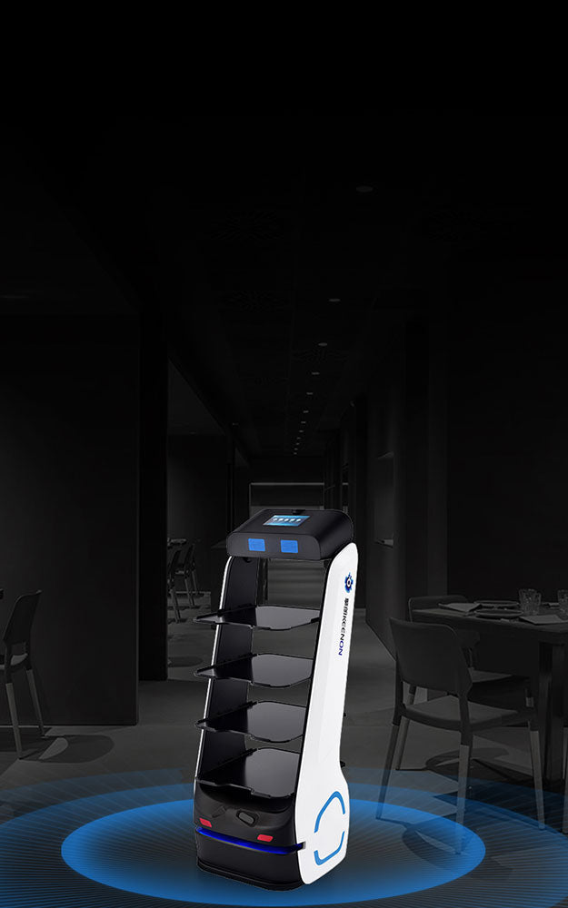 Robot natakar T5