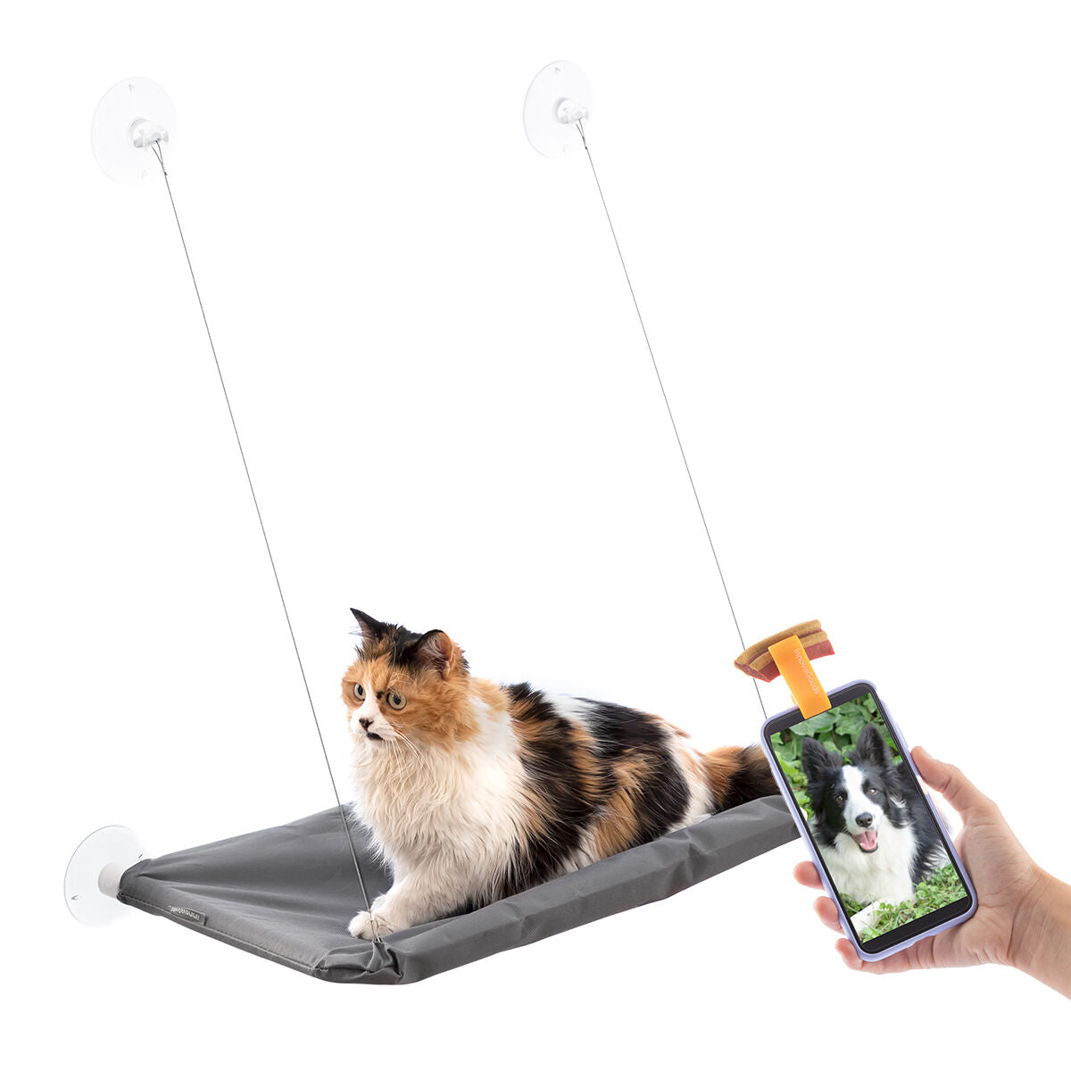 Pack Hvataljka za selfie kućnih ljubimaca i Viseći ležaj za mačke InnovaGoods